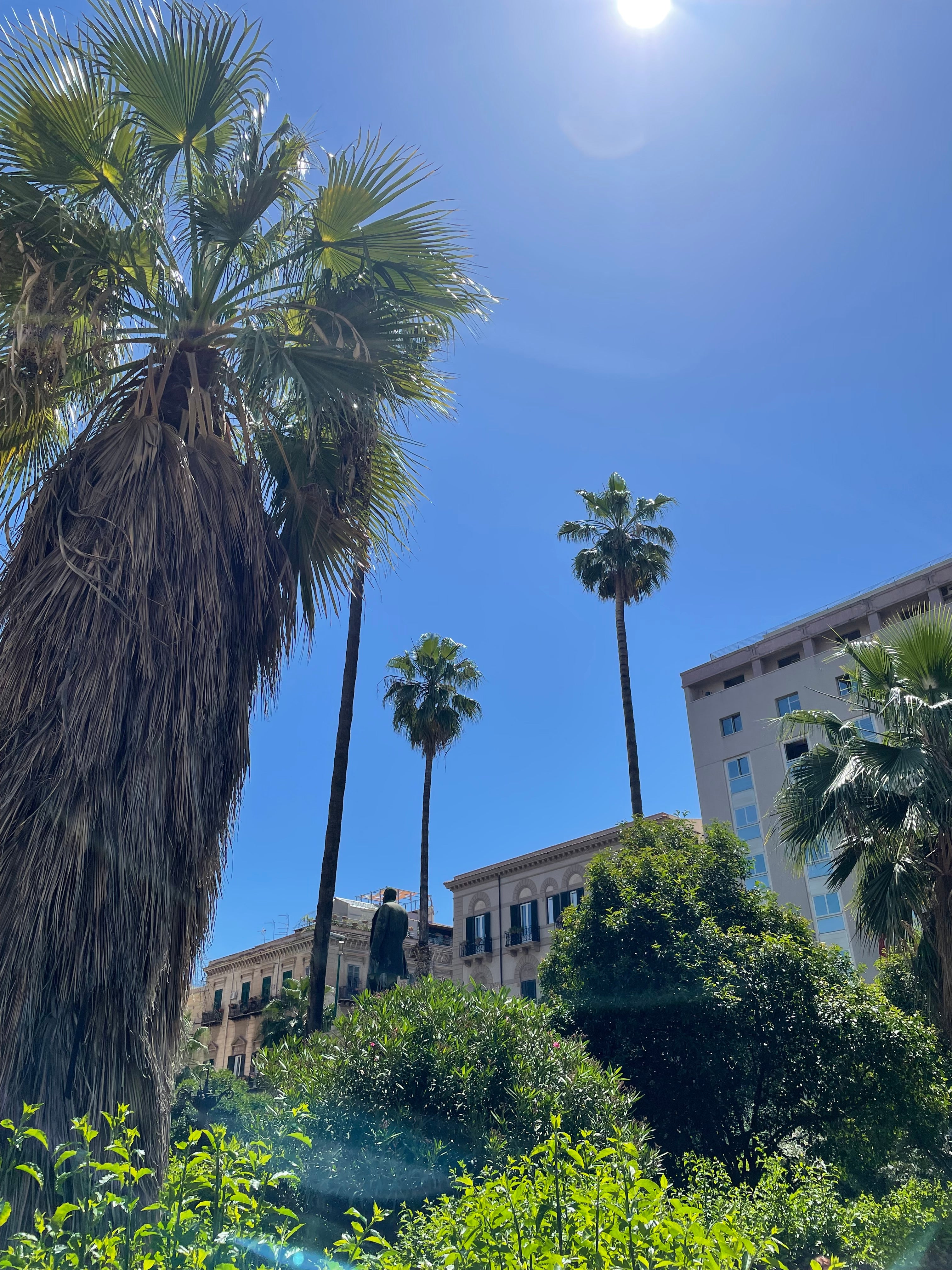 A sun-filled courtyard with palm trees and other foliage with stately Italian buildings in the background.